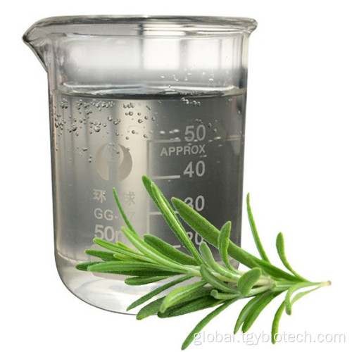 Tongkat Ali Extract 100% Natural Rosemary Extract Powder 98% Rosmarinic Acid Supplier